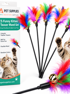 Cat feather wand
