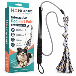 Dog flirt pole