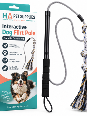 Dog flirt pole