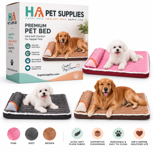 Dog kennel