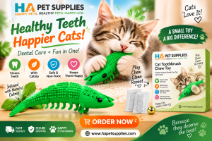 cat toothbrush toy