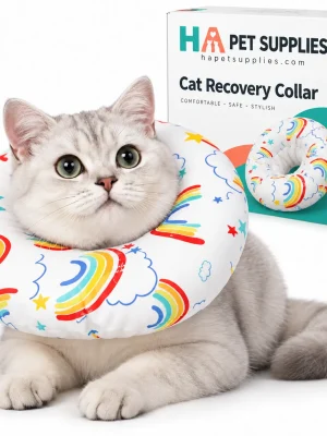 Silver tabby cat wearing rainbow donut recovery collar