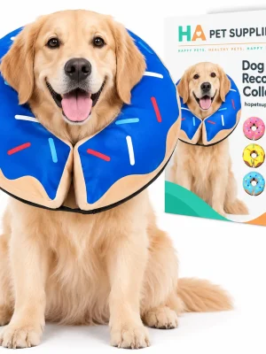 Golden Retriever wearing blue donut dog recovery collar