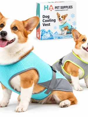 Dogs wearing breathable cooling vests in blue and grey