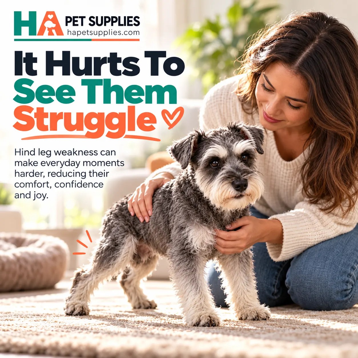 Dog wheelchair support for Schnauzer with weak hind legs
