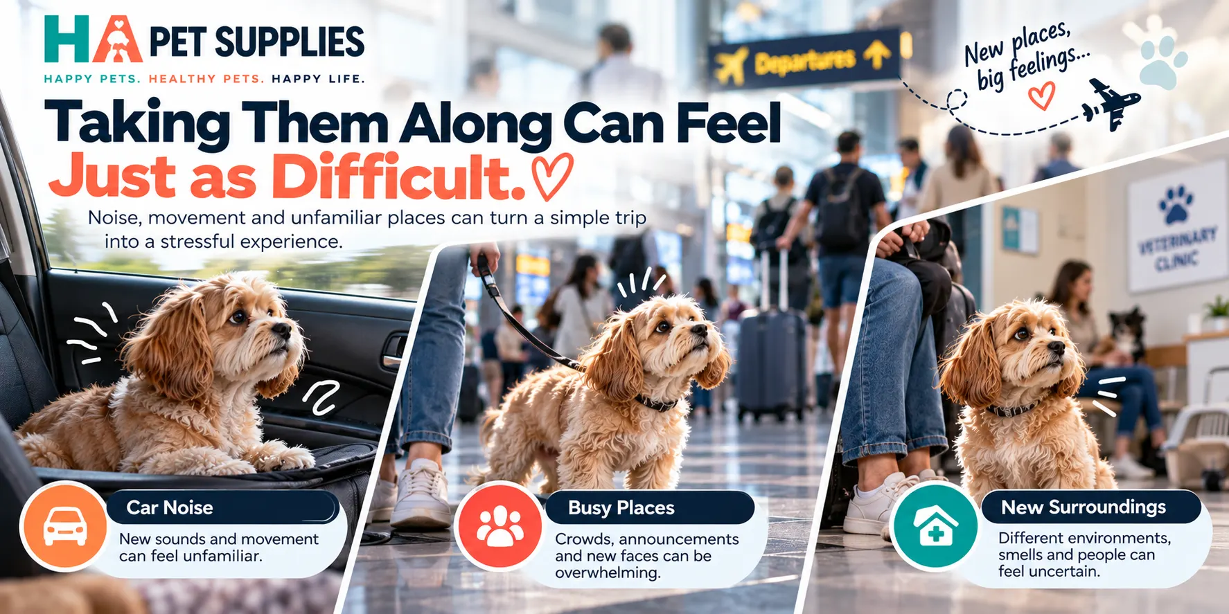 Dog airline carrier preparation for car noise airports and unfamiliar environments