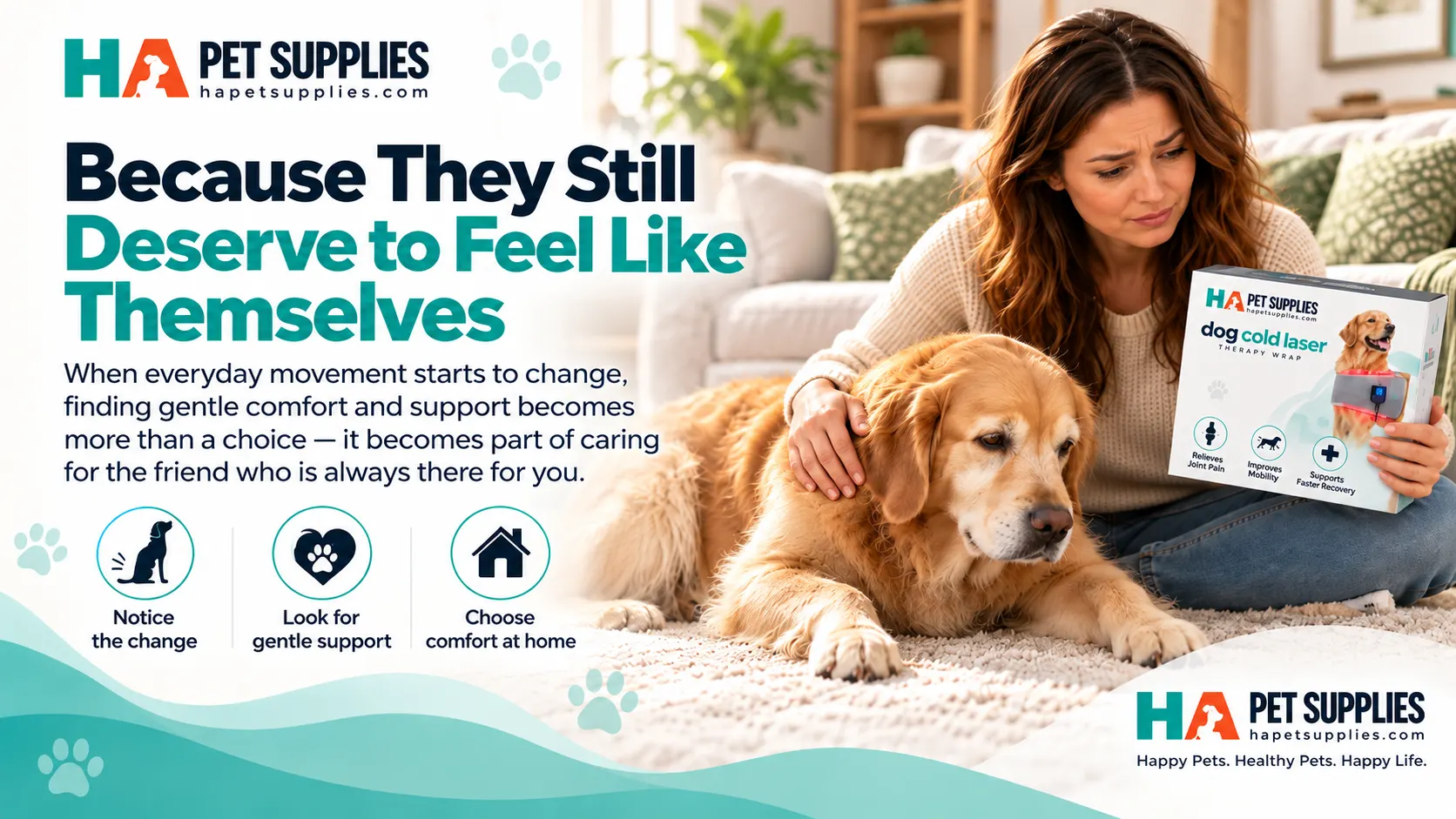 Owner exploring cold laser therapy for dogs at home
