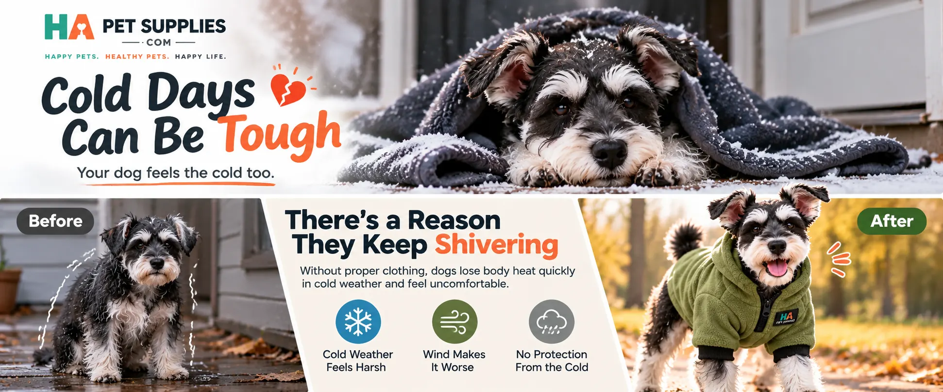 Small Schnauzer in cold weather compared with a dog wearing warm green fleece clothes
