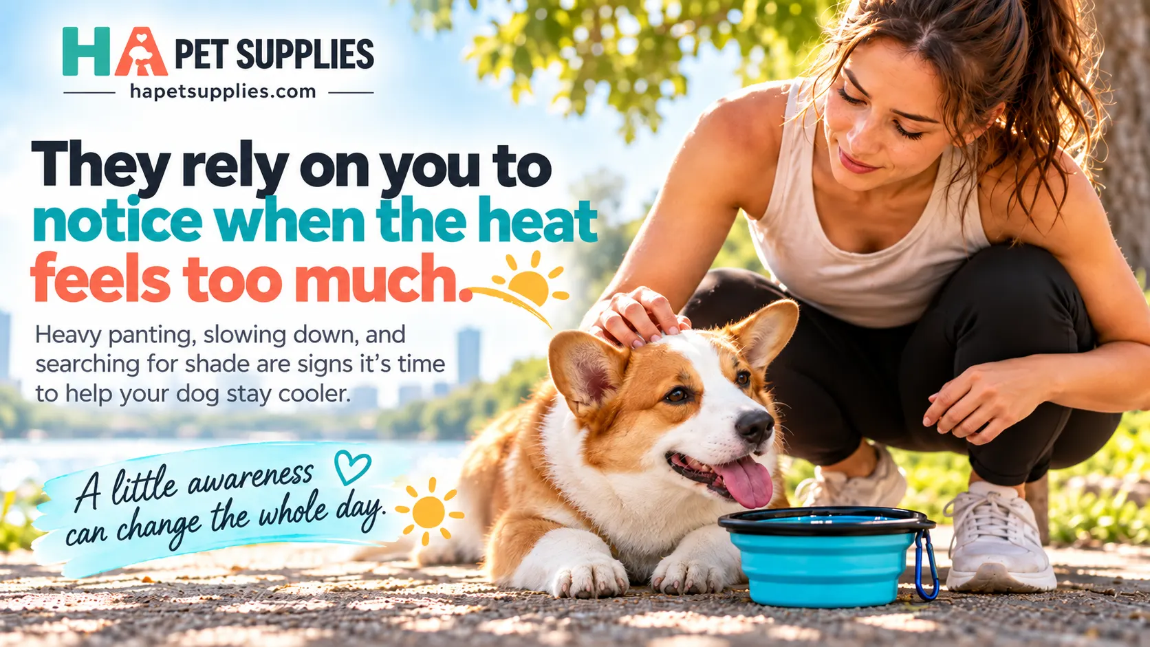 dog cooling vest for summer walks