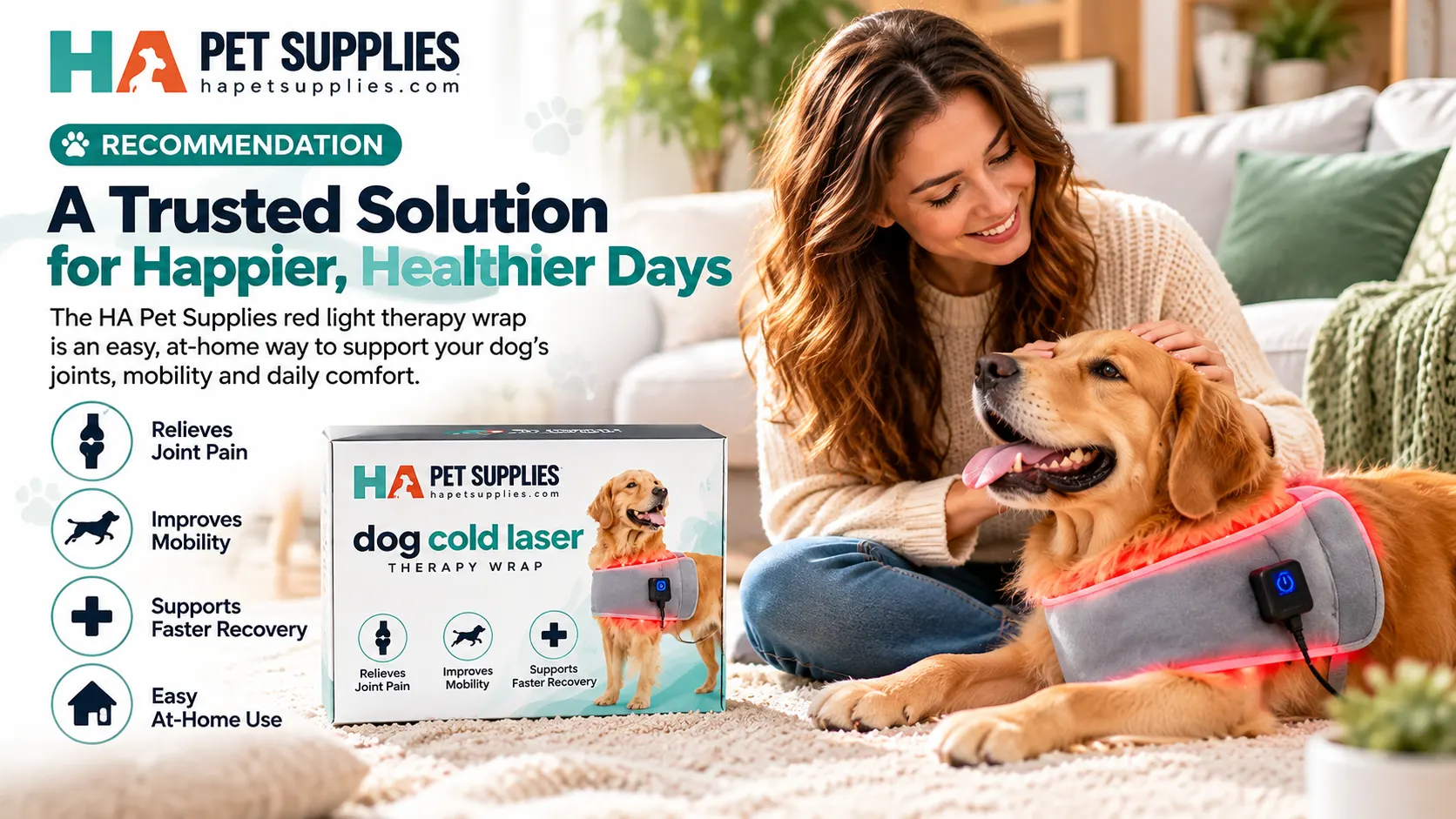 Dog wearing HA Pet Supplies red light therapy wrap