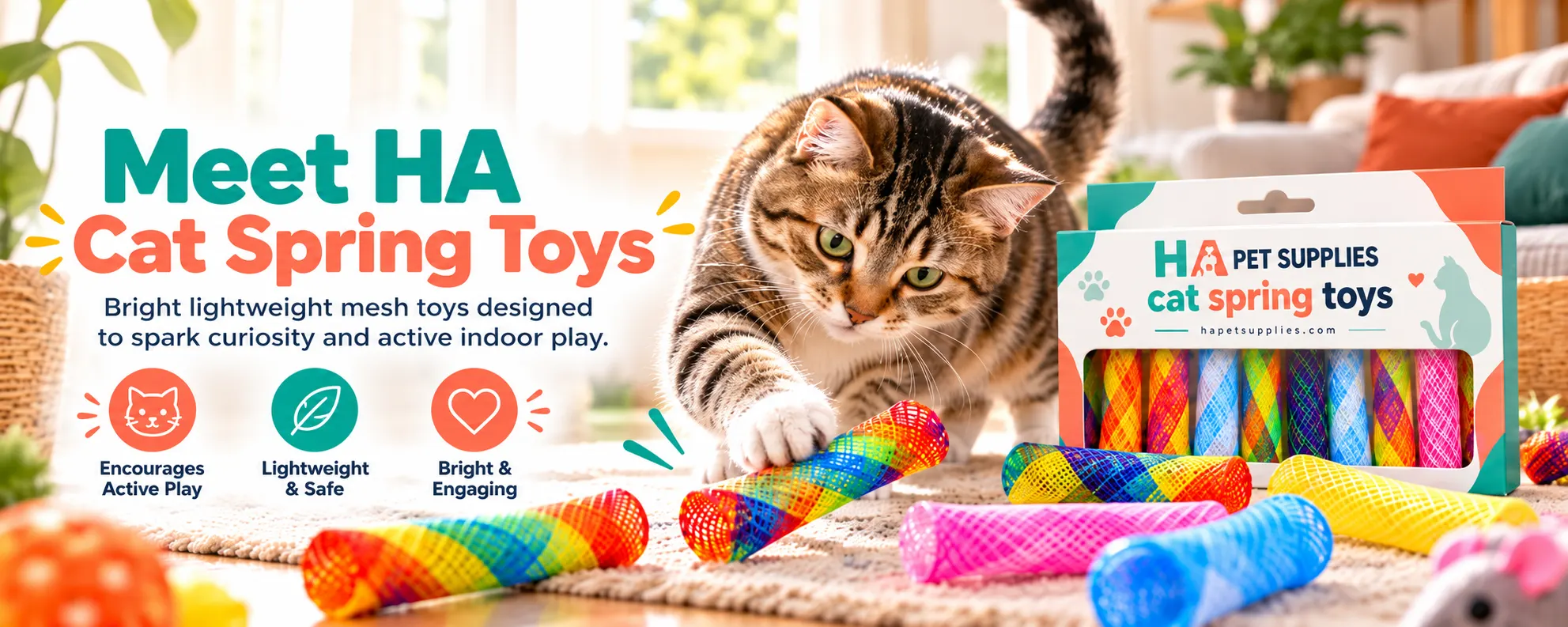 Cat playing with colorful mesh spring toys