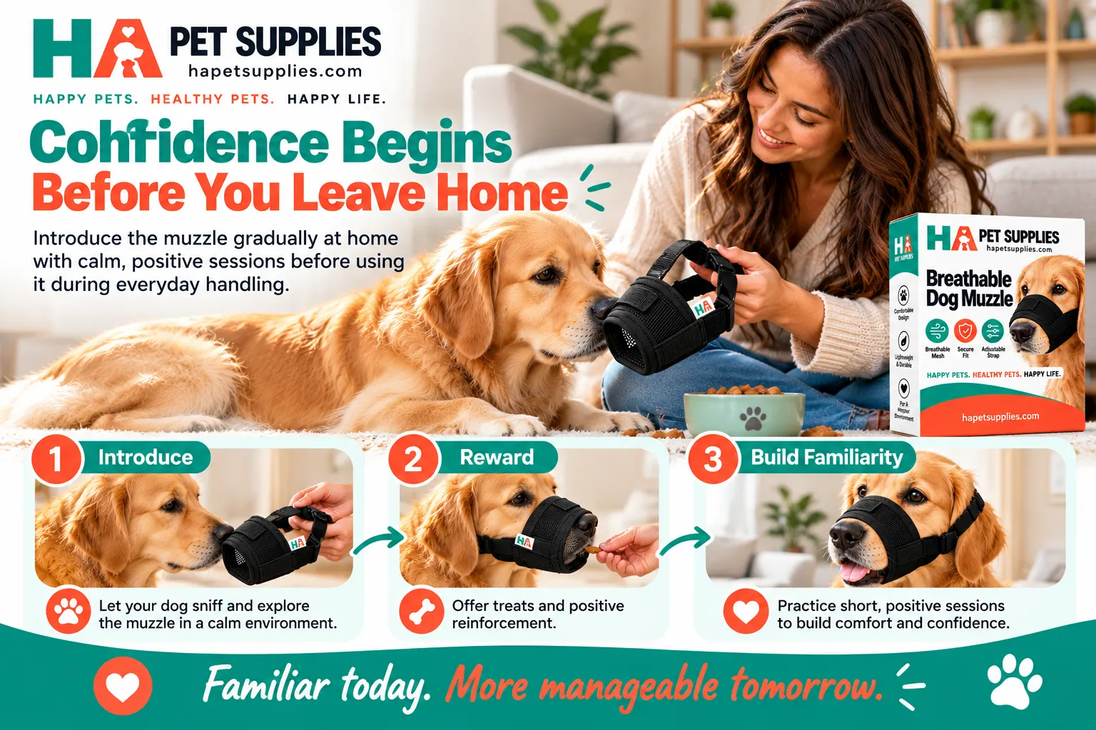 Comfortable dog muzzle training with positive rewards