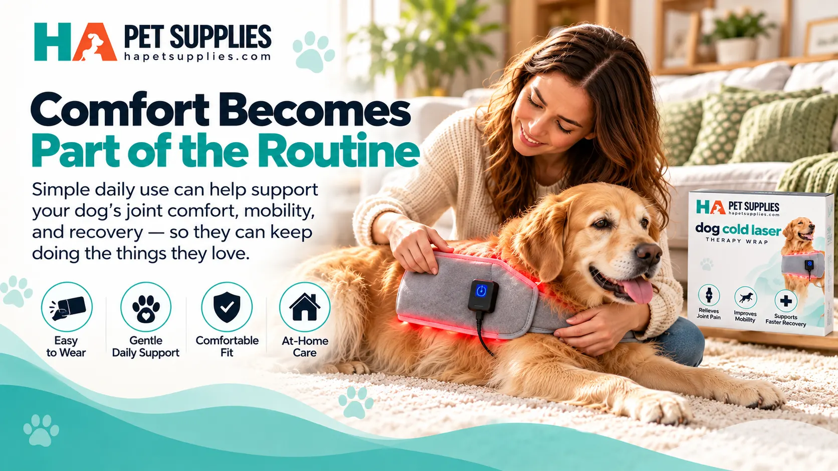 Dog wearing red light therapy device during supervised home care