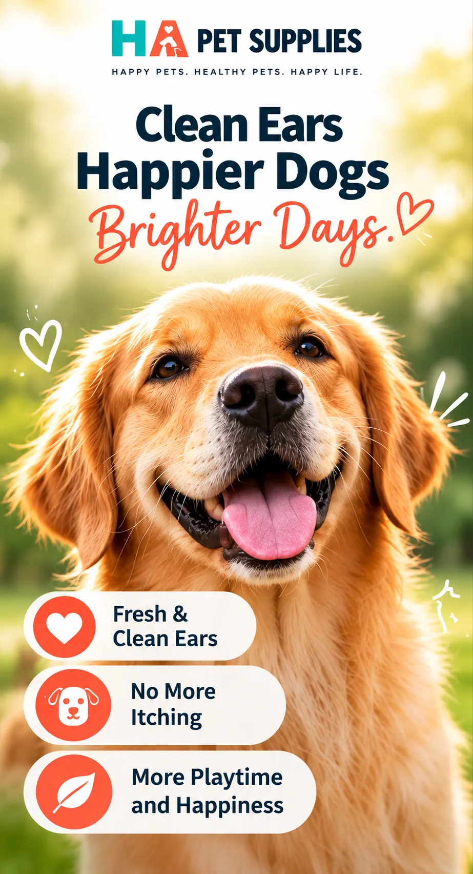 Happy Golden Retriever representing routine dog ear hygiene