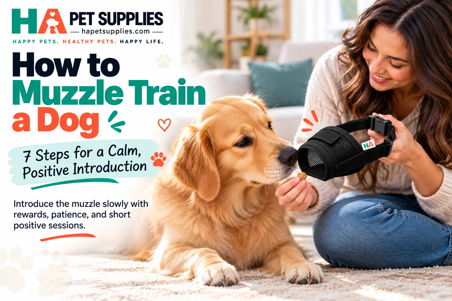 How to muzzle train a dog with a calm positive introduction