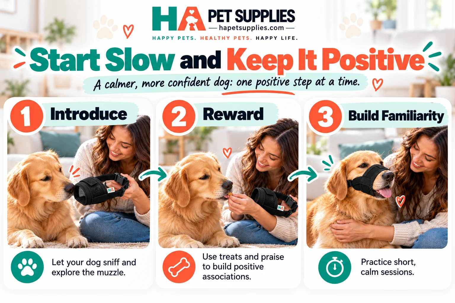 How to muzzle train a dog using positive step-by-step training