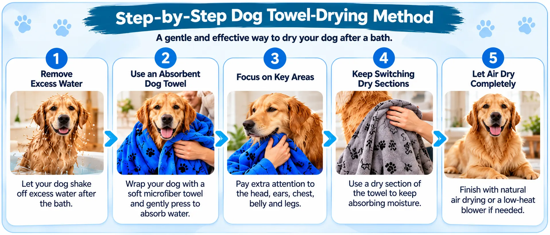 how to dry a dog after a bath using five towel drying steps