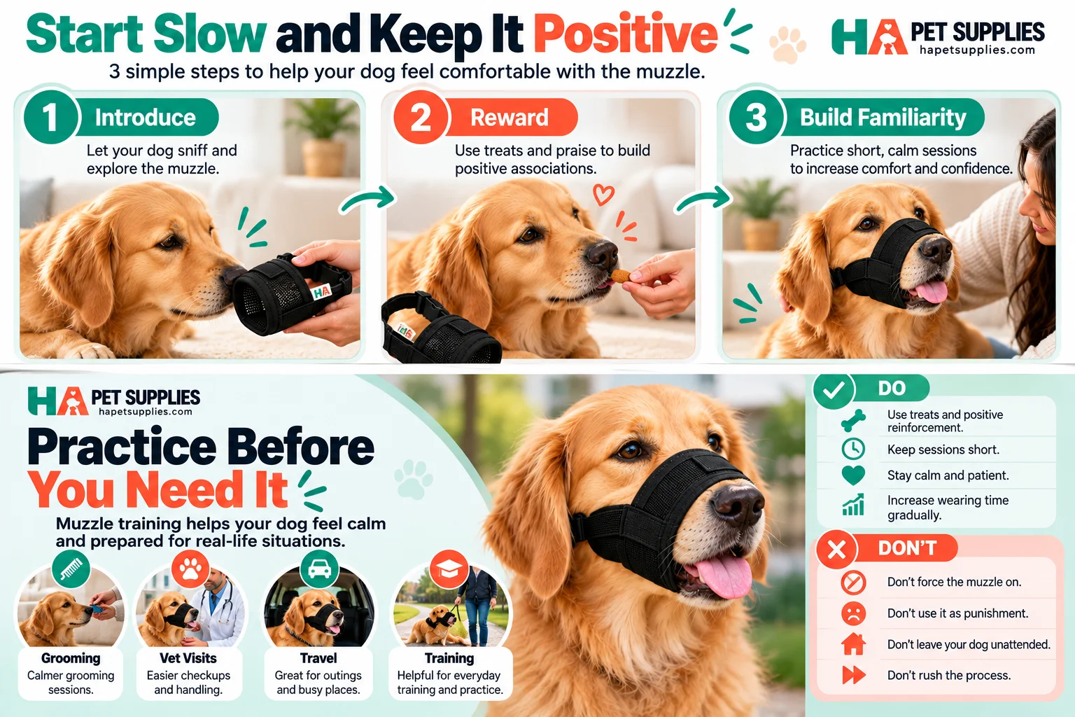 How to muzzle train a dog safely with positive training dos and don'ts