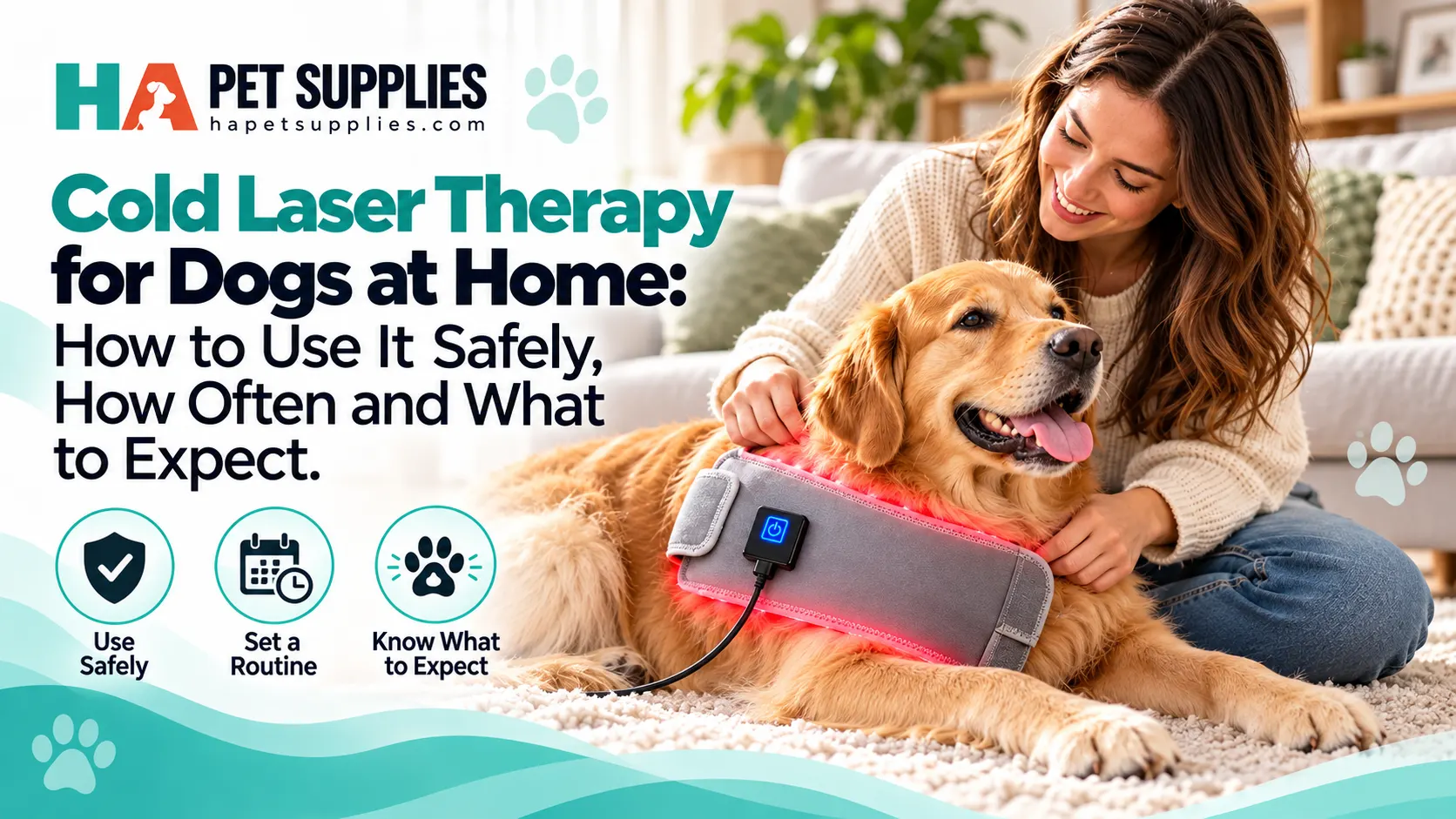 Cold laser therapy for dogs at home with wearable red light therapy wrap