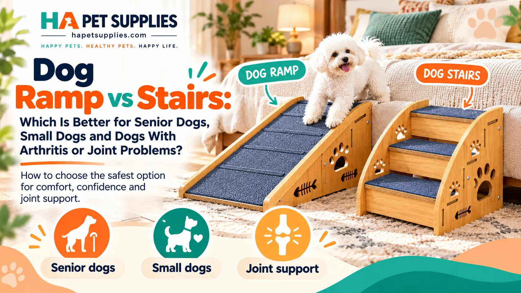 Dog ramp vs stairs comparison for senior and small dogs