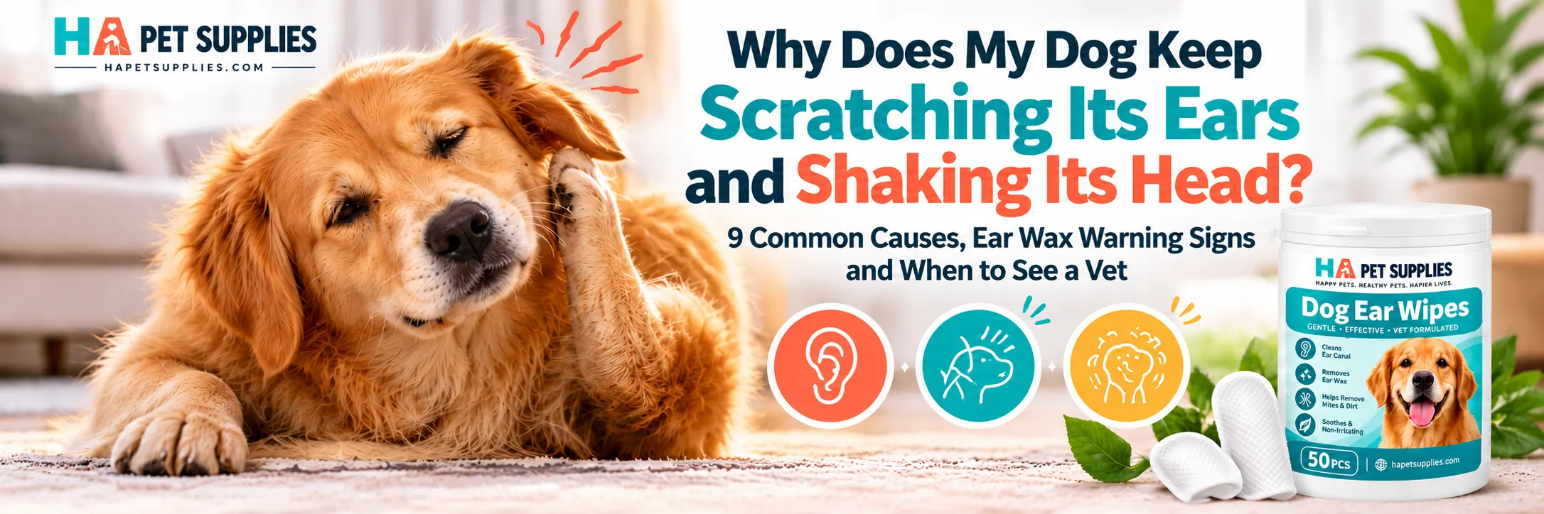 Dog scratching ears and shaking head from ear discomfort