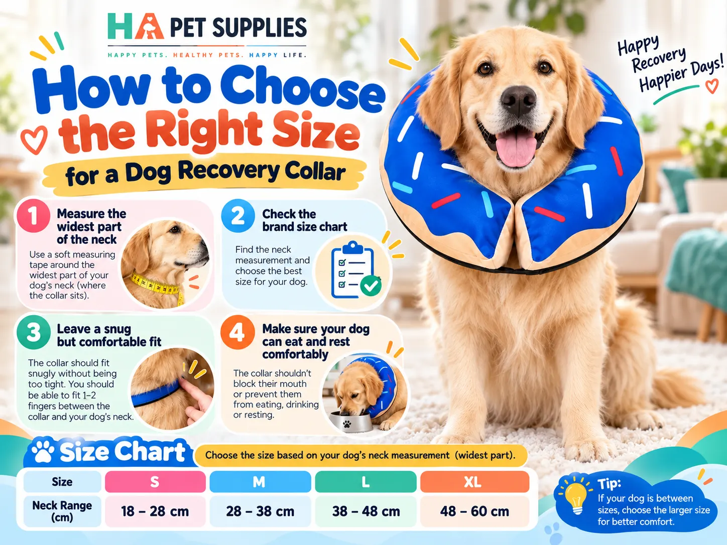 Dog recovery collar size guide showing neck measurement and correct fitting