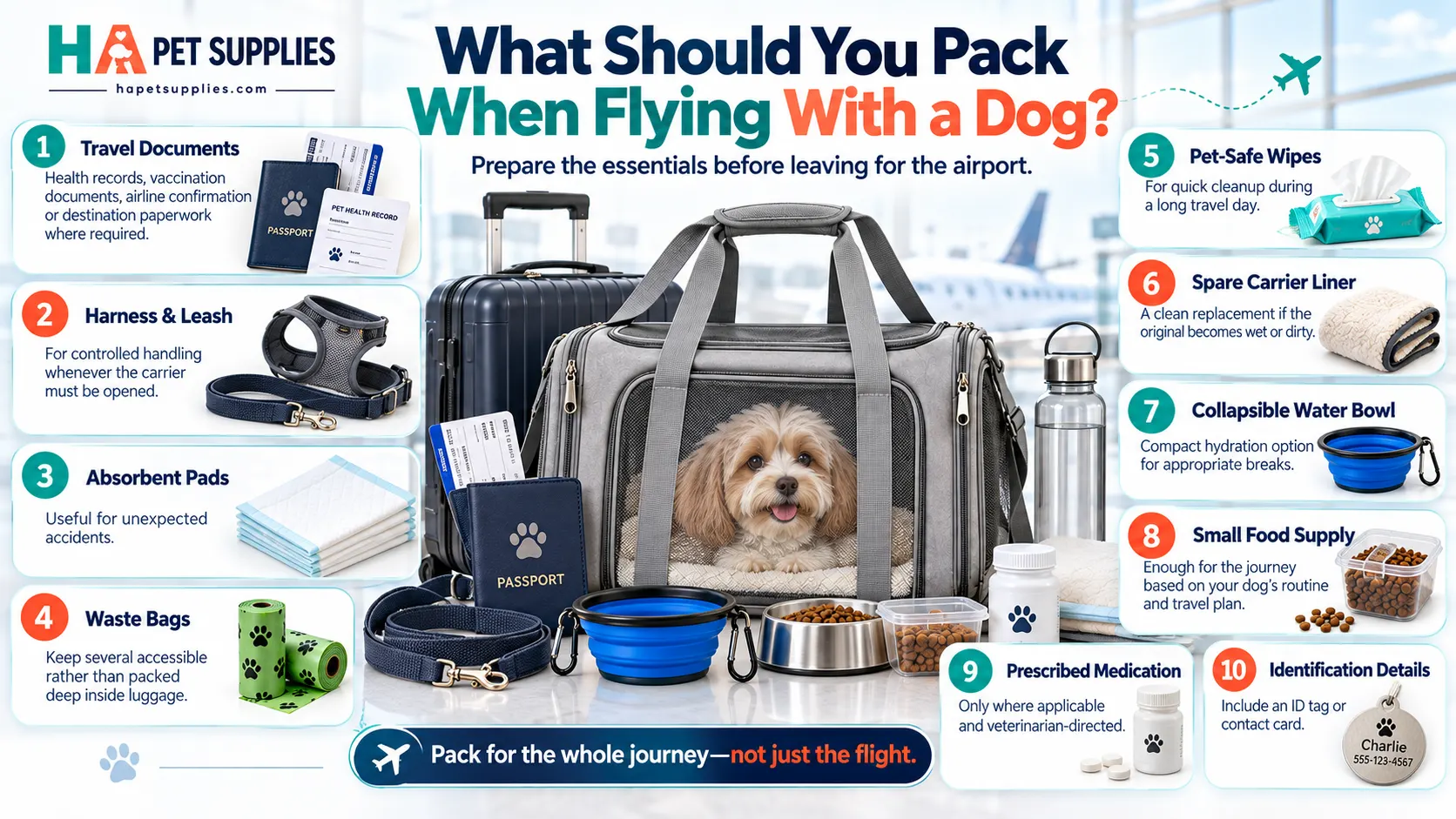 Flying with a dog for the first time airport security steps