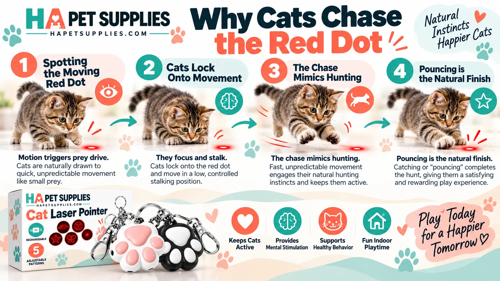 why do cats chase laser pointers through stalking chasing and pouncing stages
