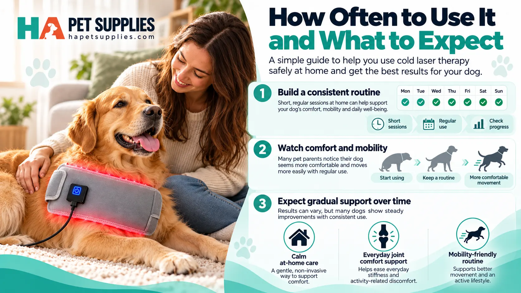 Cold laser therapy for dogs at home treatment routine and progress monitoring