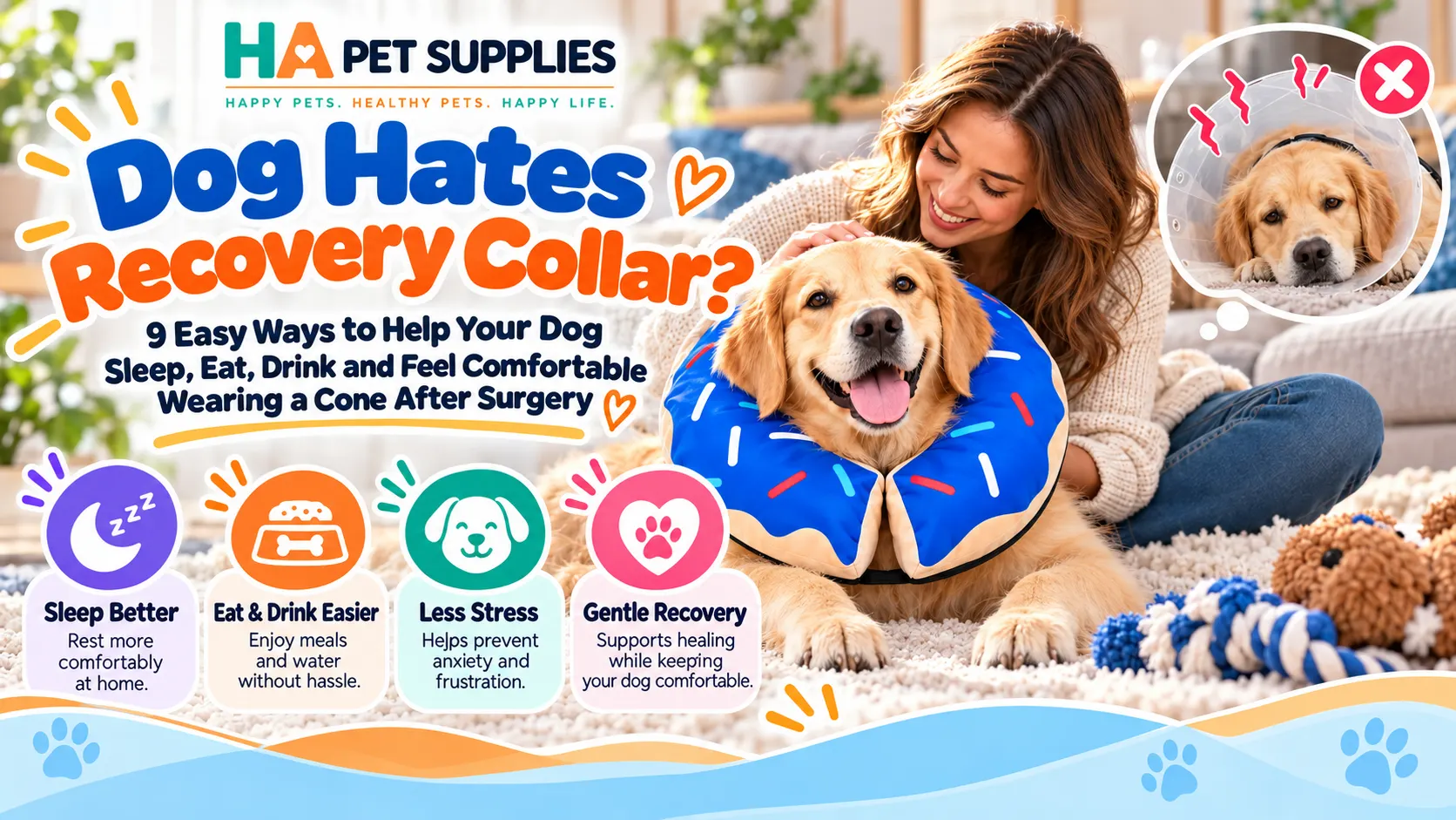 Dog hates recovery collar after surgery comfort guide