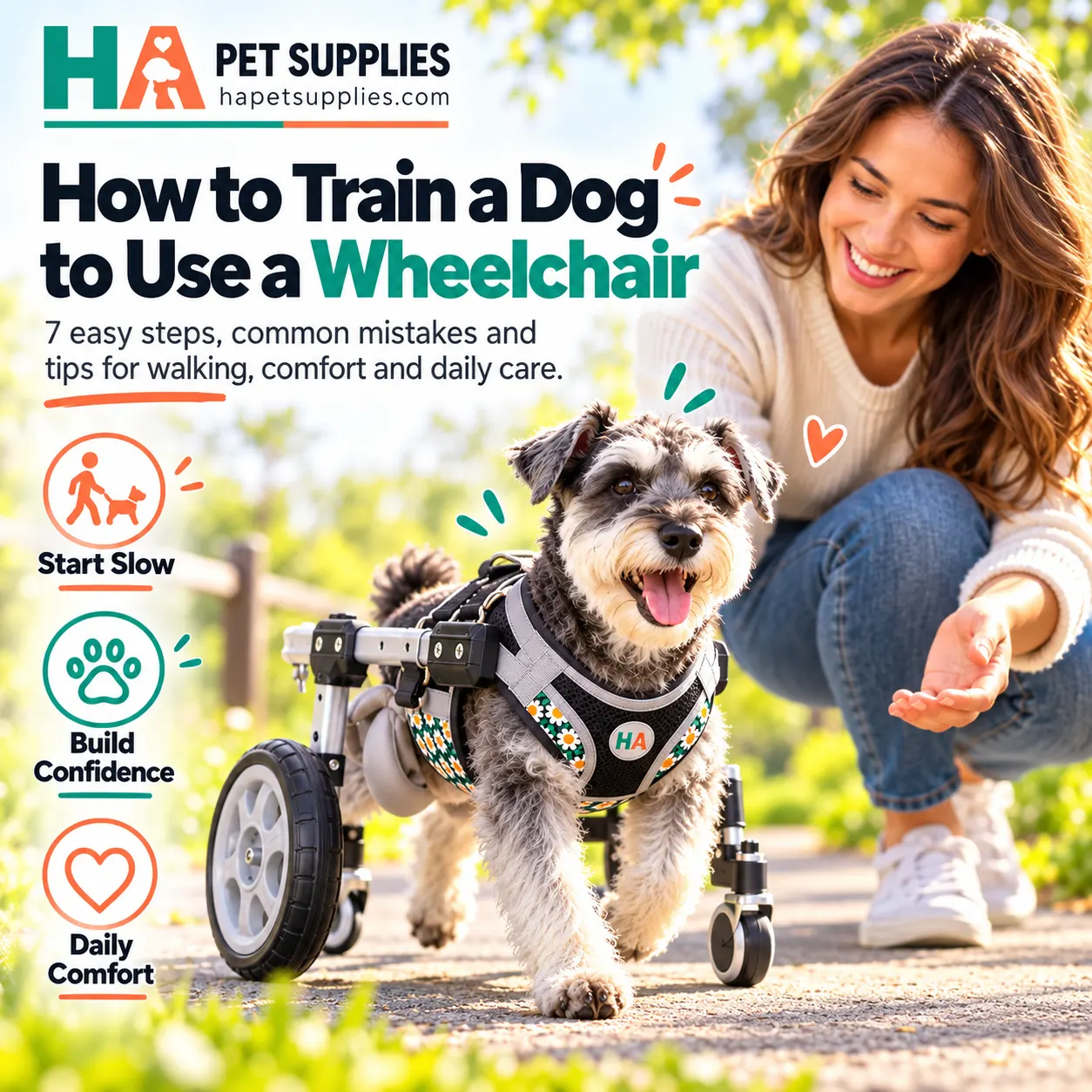 How to train a dog to use a wheelchair safely