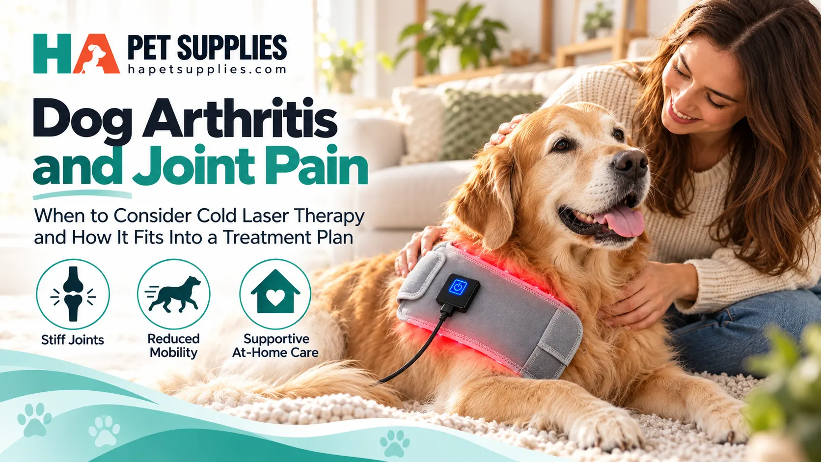 Dog arthritis and joint pain support using a cold laser therapy wrap