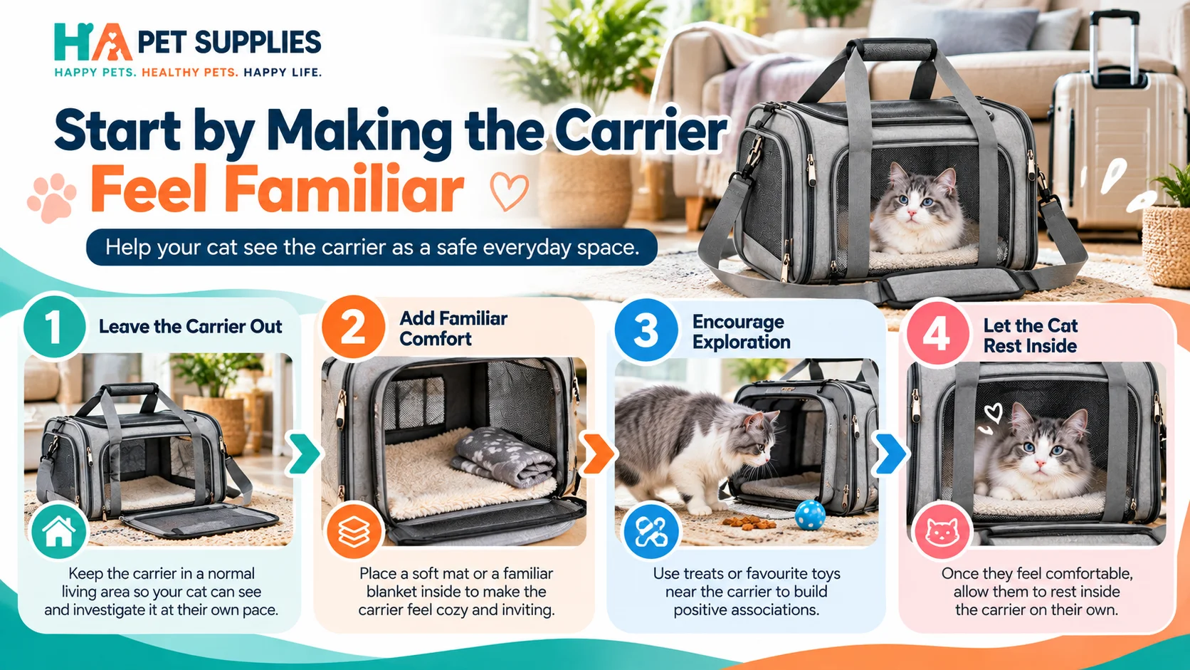cat airline carrier training at home