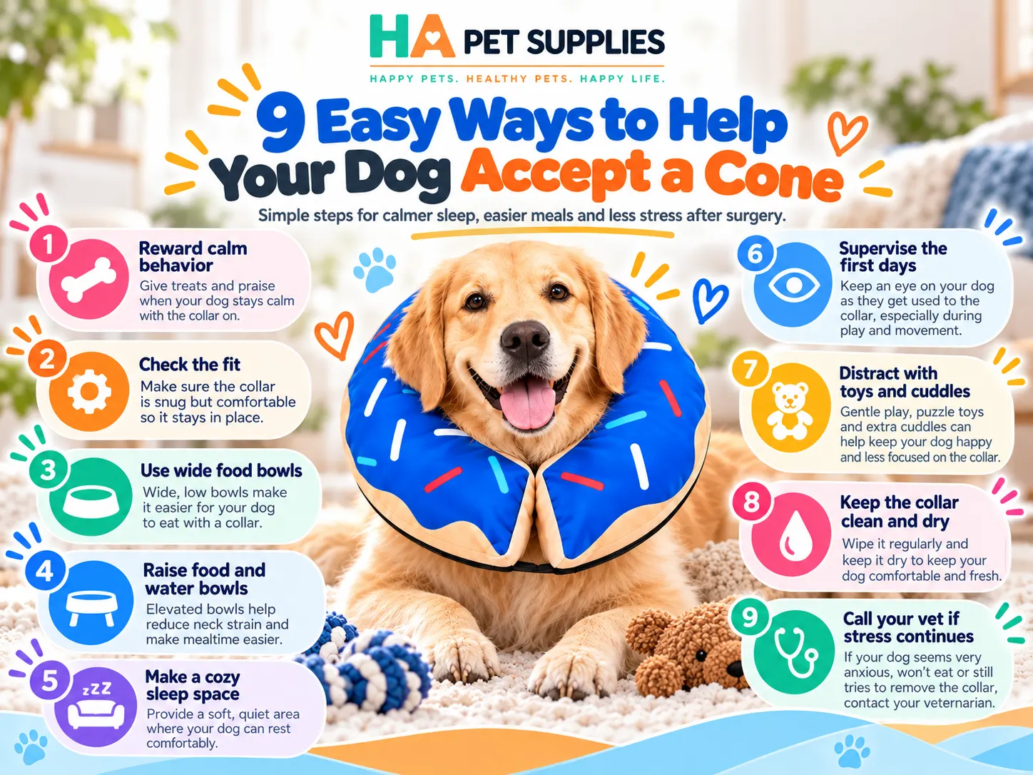 Nine easy ways to help a dog accept a recovery collar