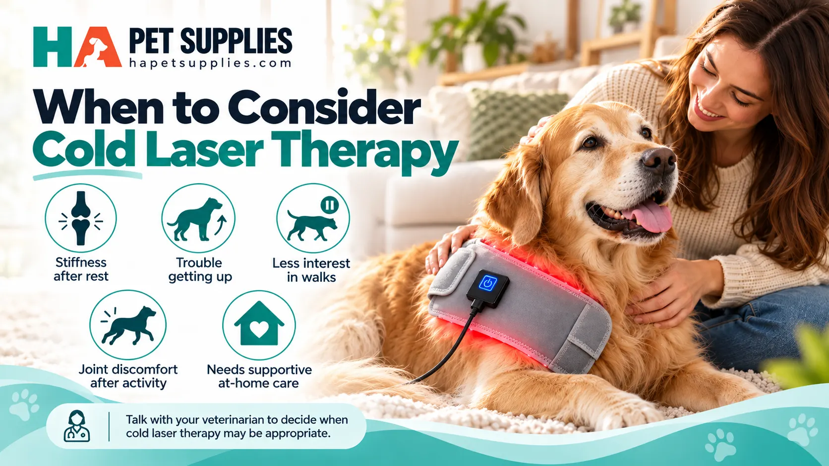 Dog arthritis and joint pain signs including stiffness and reduced mobility