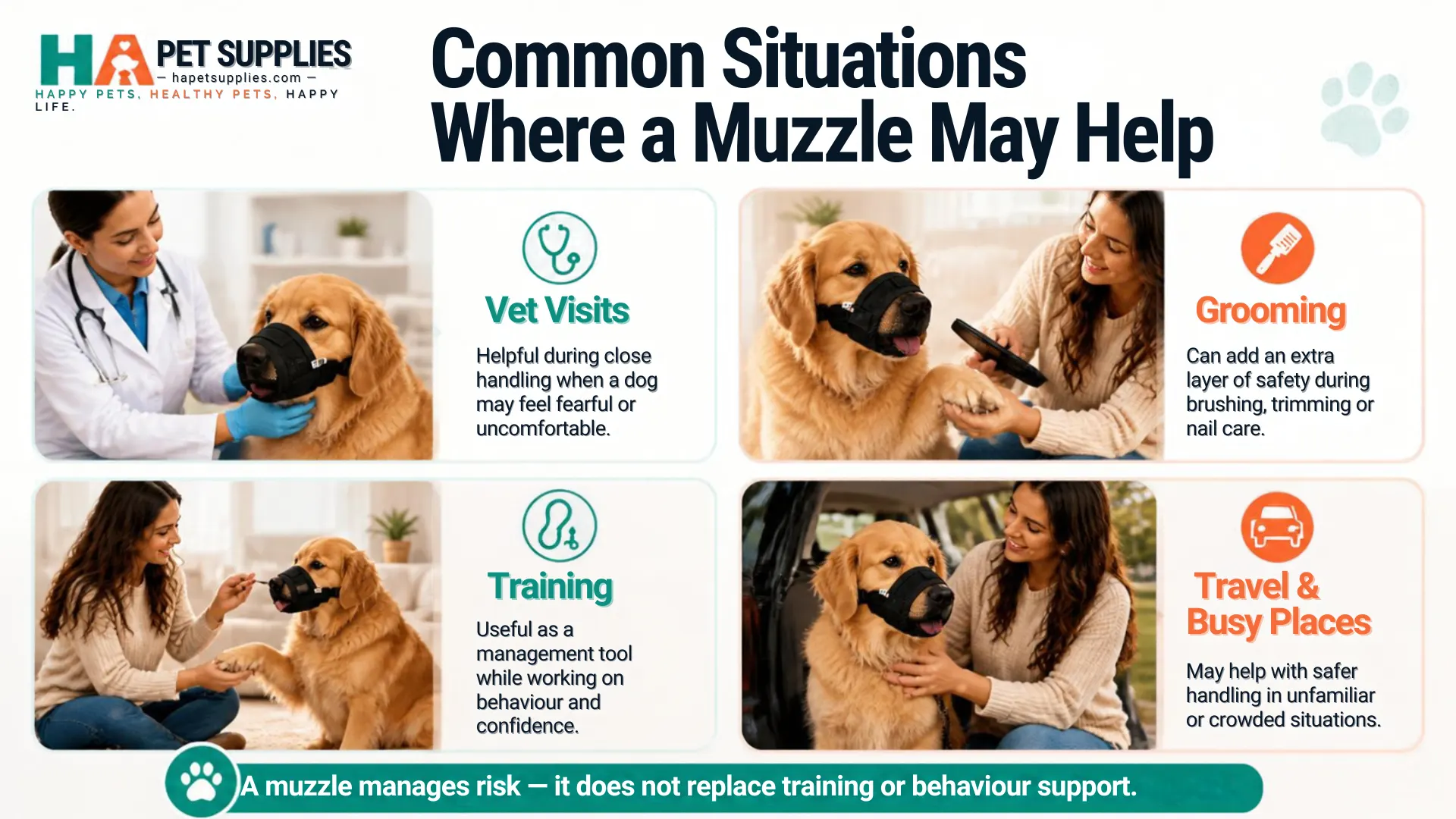When should a dog wear a muzzle for vet visits grooming training and travel