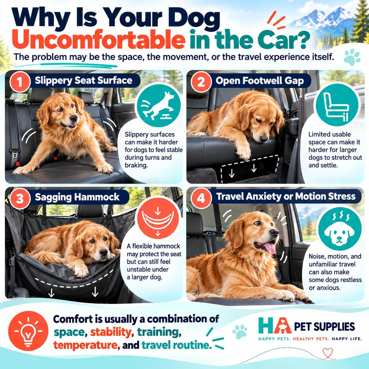 dog car travel comfort problems including slippery seats limited space and motion stress