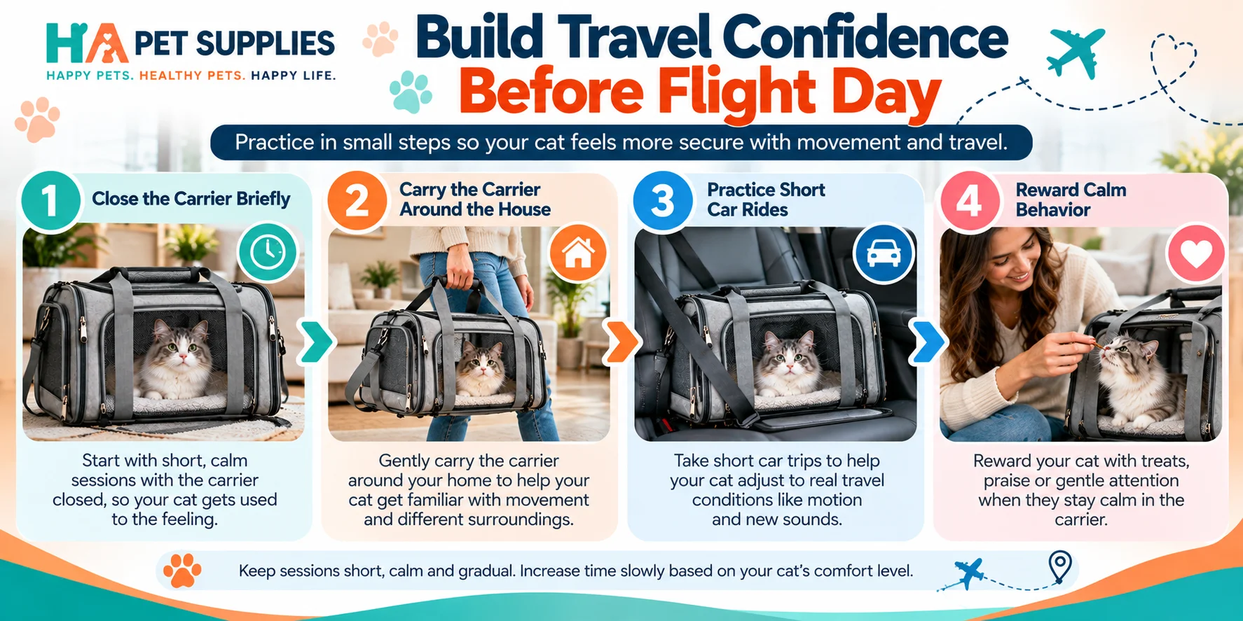 cat airline carrier training before air travel