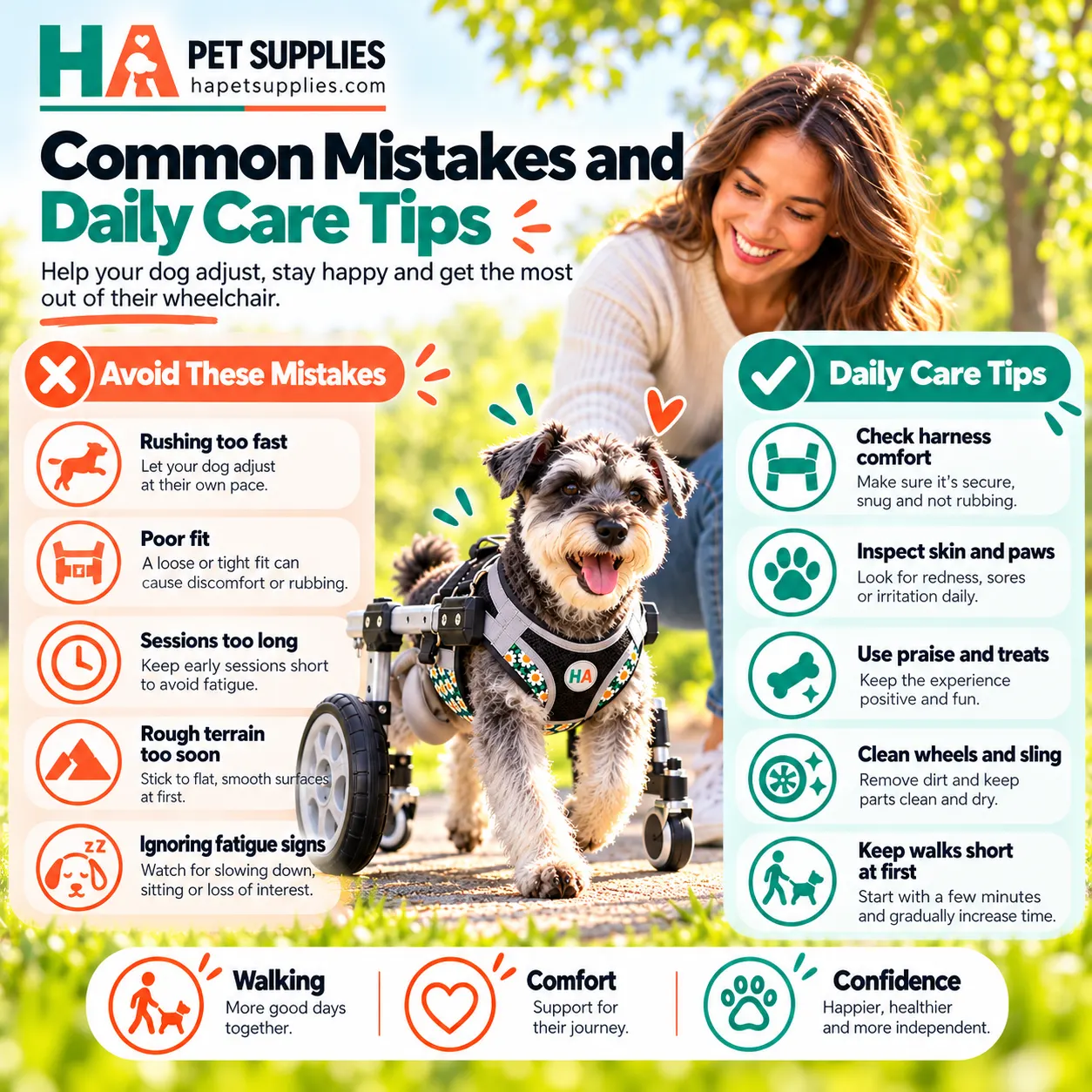 Dog wheelchair training mistakes and daily care tips